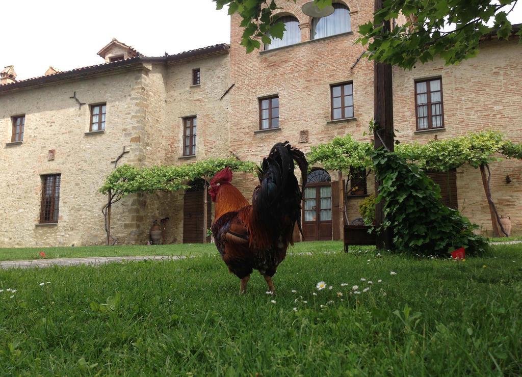 Residenza D'Epoca Il Biribino Hotel Città di Castello Eksteriør billede